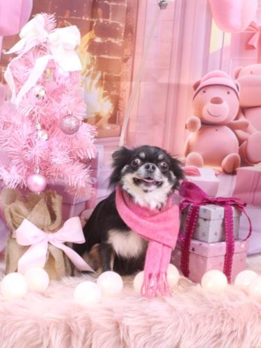 20241214らんまるちゃん